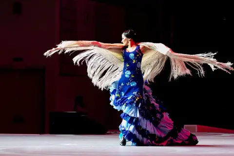 Flamenco Capriccios